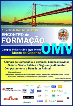 Encontro Formação
