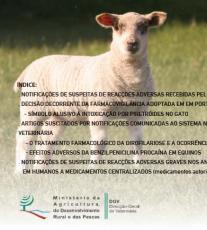 boletim