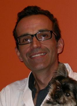 Luís Miguel do Amaral Cruz