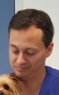 Rui Miguel de Oliveira Gomes Máximo
