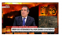 Entrevista do Bastonário da OMV à SIC Notícias - Animais vítimas dos incêndios a norte do Tejo