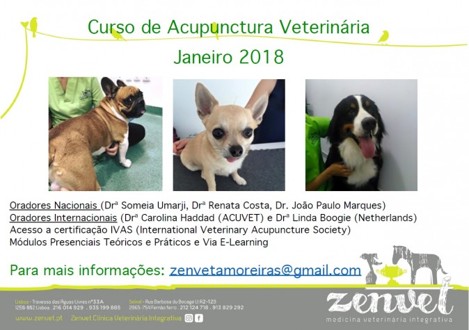 Curso de Acupunctura Veterinária 