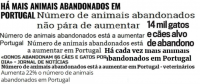 OMV na Comunicação Social - Abandono de Animais