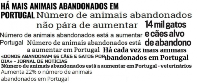 OMV na Comunicação Social - Abandono de Animais