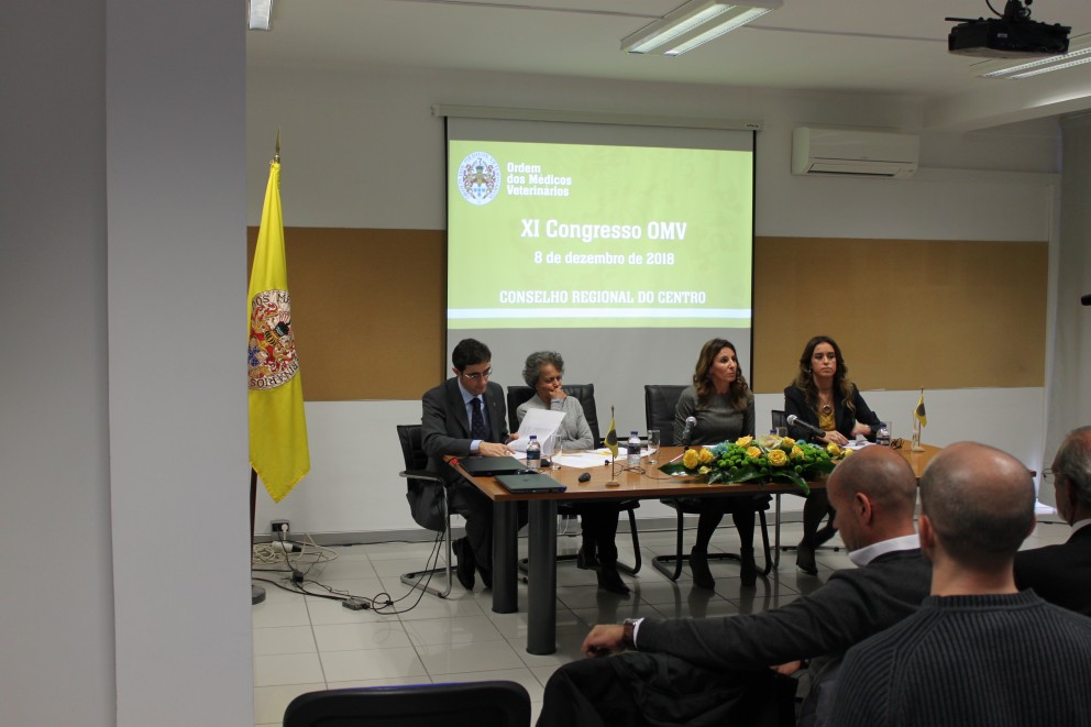 Mesa redonda - Publicidade e Telemedicina