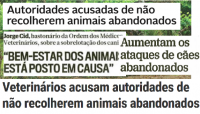 A OMV na Comunicação Social - CRO e Abandono de Animais