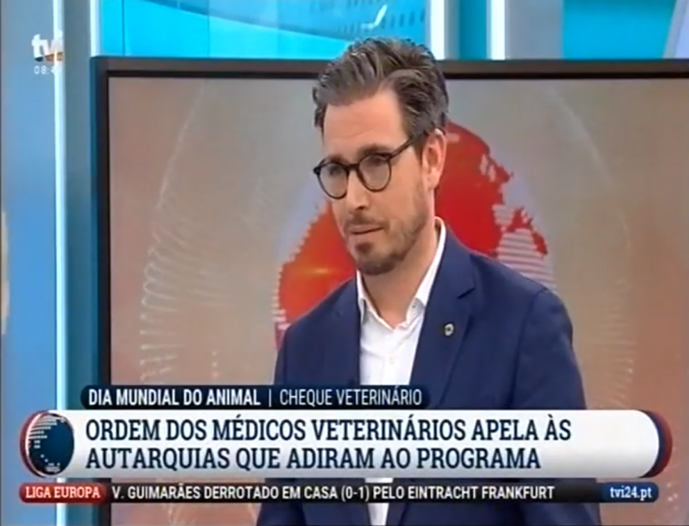  Entrevista a membro do Conselho Diretivo - Dr. Pedro Fabrica nas manhãs da TVI 24