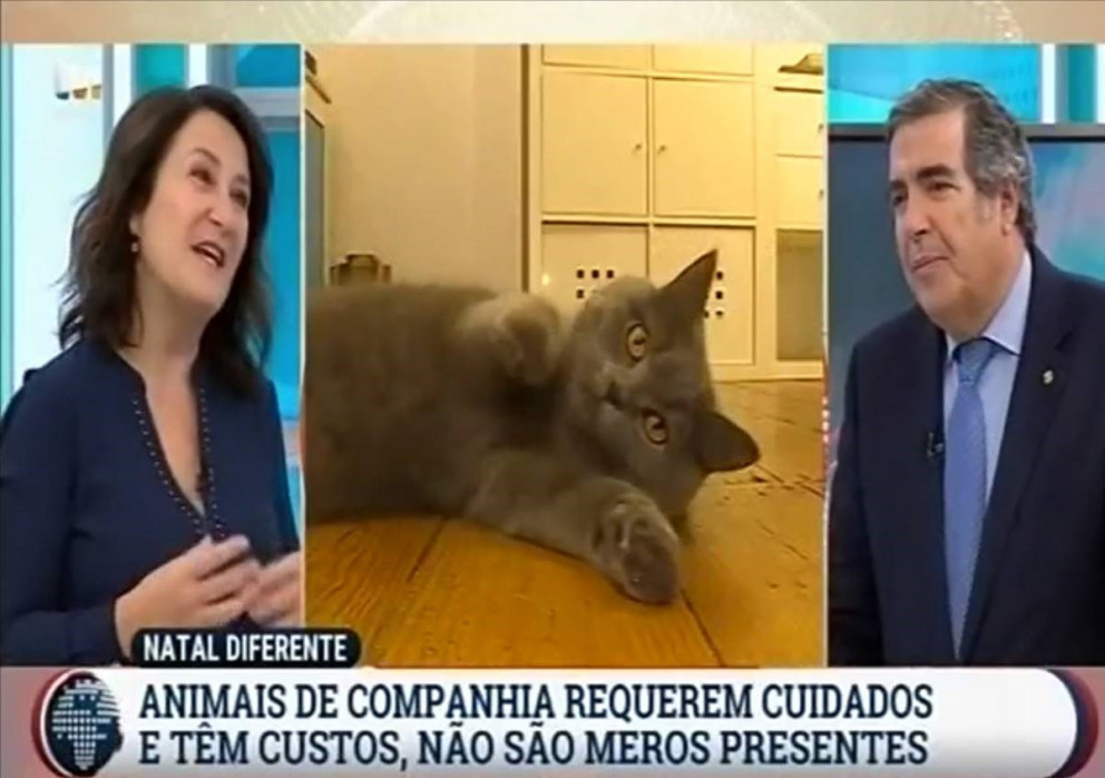 Entrevista ao Bastonário da OMV na TVI