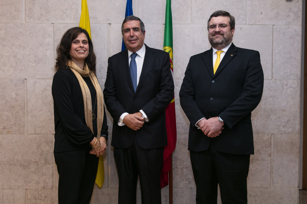 Presidente da AR da Madeira, Bastonário e Presidente do CR da Madeira