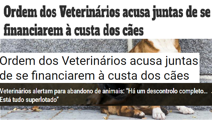 A OMV na Comunicação Social - Novo licenciamento de animais de companhia pelas Juntas de Freguesia