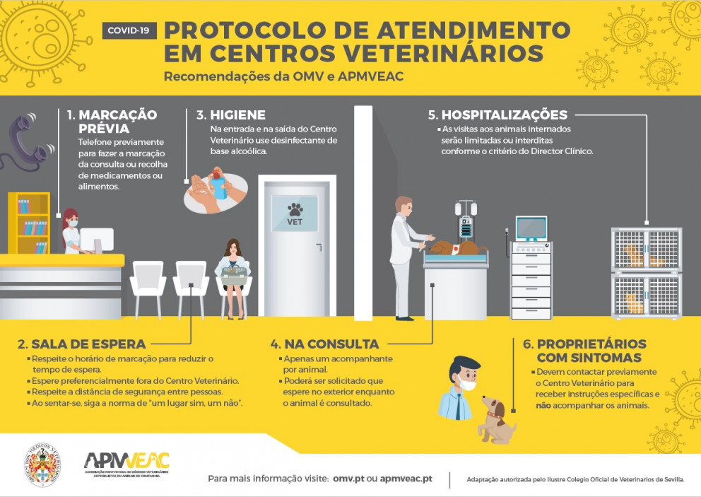 Recomendações da OMV para atendimento nos CAMV