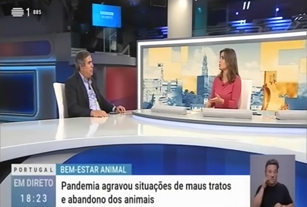 Entrevista ao Bastonário da OMV, Jorge Cid,no programa Portugal em Direto sobre o Bem-estar animal nesta fase pandémica 