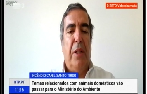 Entrevista ao Bastonário da OMV à RTP3 - Contra a transferência de competências da DGAV para o Ministério do Ambiente