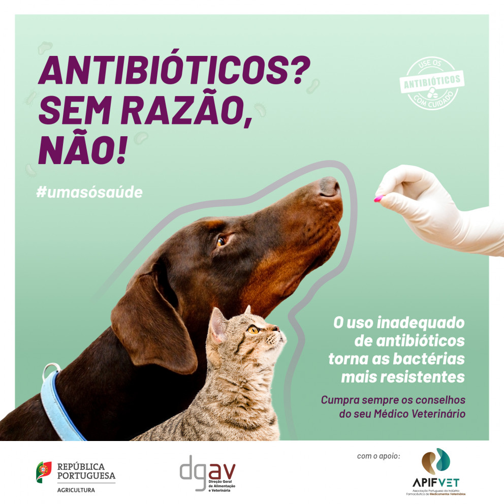 Campanha de sensibilização da DGAV 'Resistência aos antimicrobianos'