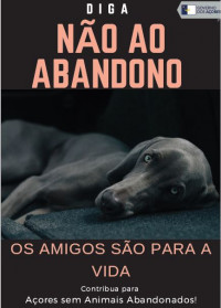 Sensibilização para o não abandono de animais de companhia.