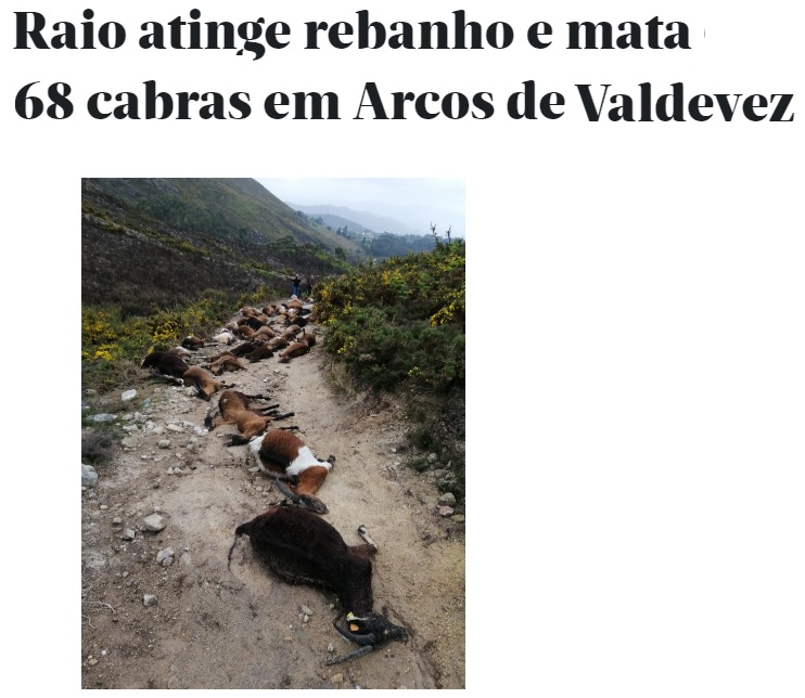 OMV promove Apoio Solidário ao pastor do rebanho atingido por relâmpago em Arcos de Valdevez