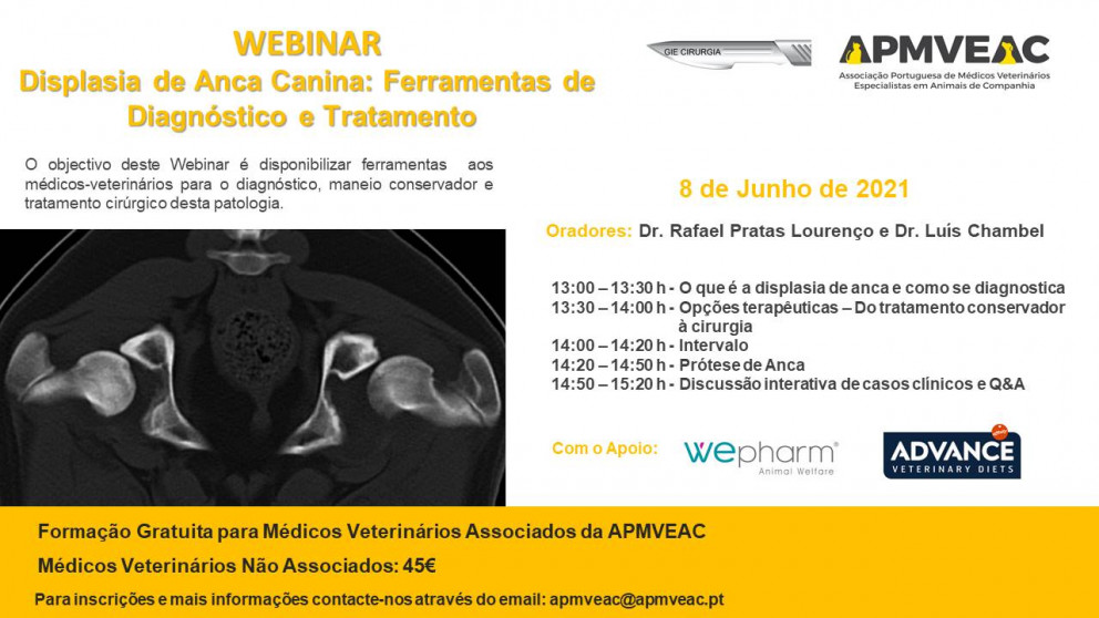 Displasia de Anca Canina: Ferramentas de Diagnóstico e Tratamento