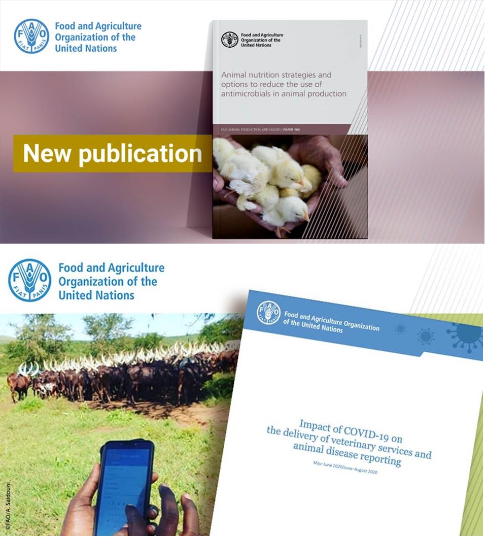 Duas Novas Publicações FAO - Nutrição Animal e Impacto da COVID-19