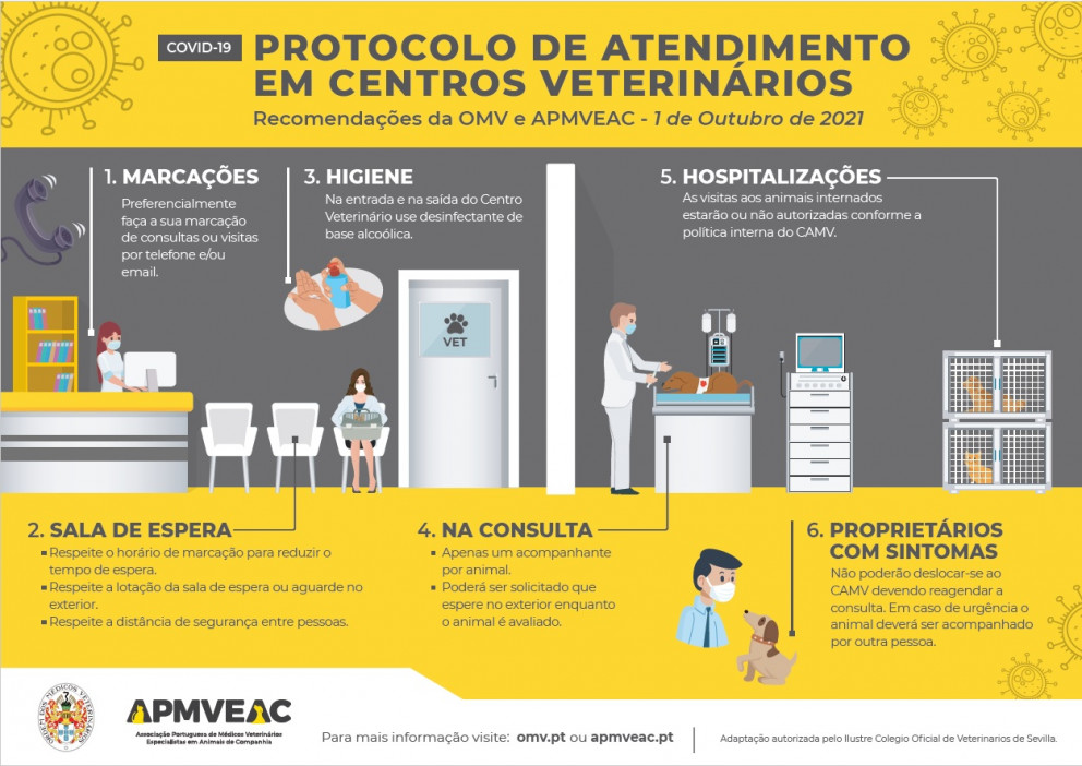 Recomendações para Atendimento nos CAMV - COVID-19