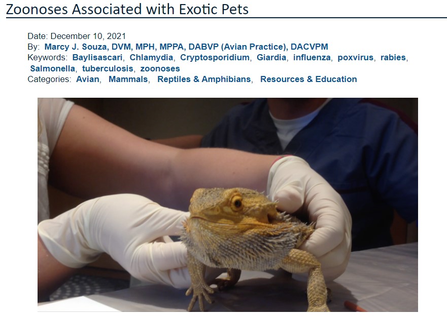 Webinar 'Zoonoses Associated with Exotic Pets'