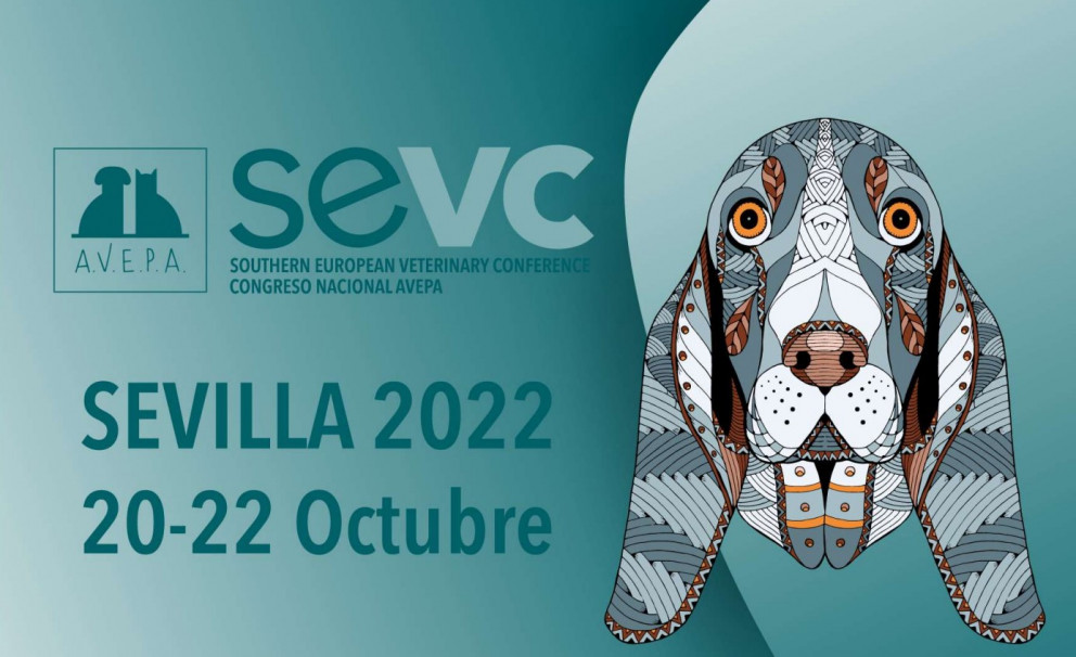 CONGRESO NACIONAL AVEPA-SEVC