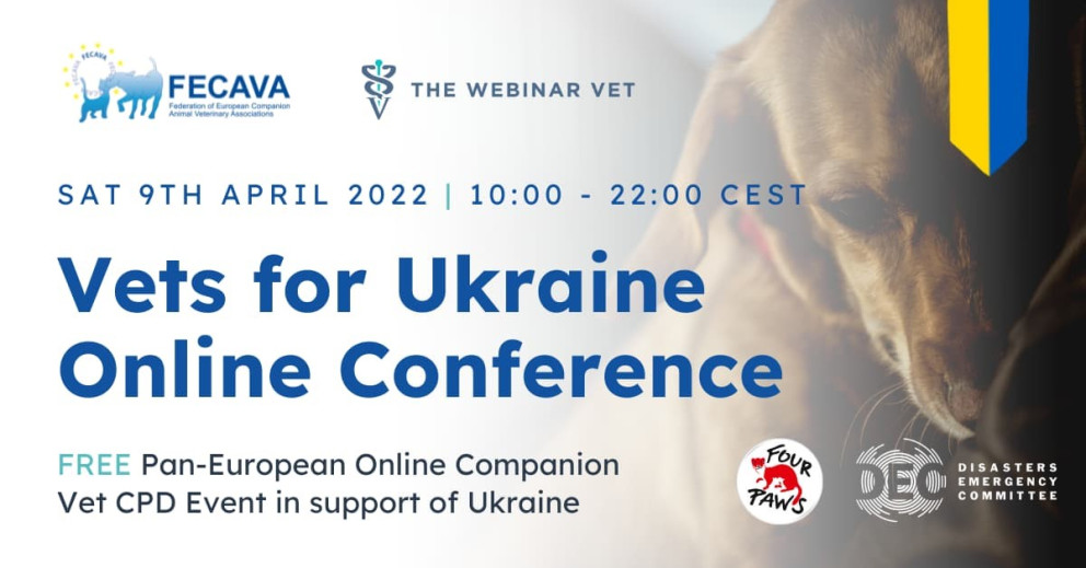 Vets for Ukraine Online Conference