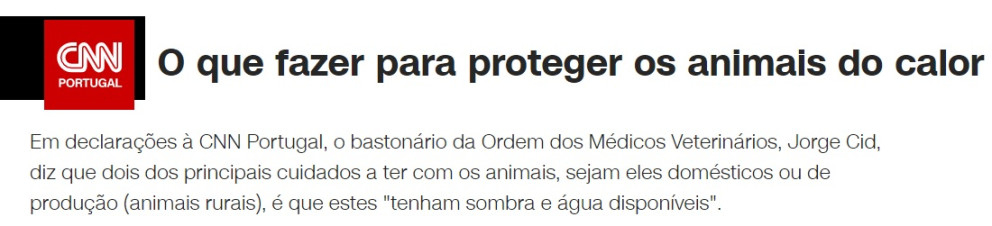 A OMV na comunicação Social - Entrevista Bastonário da OMV sobre 'O que fazer para proteger os animais do calor'