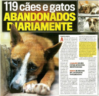 A OMV na Comunicação Social - 'Bastonário da OMV pede criação do 'assistente social para donos de animais'