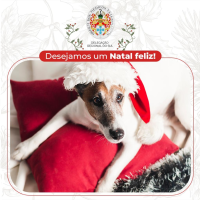 Boas Festas!