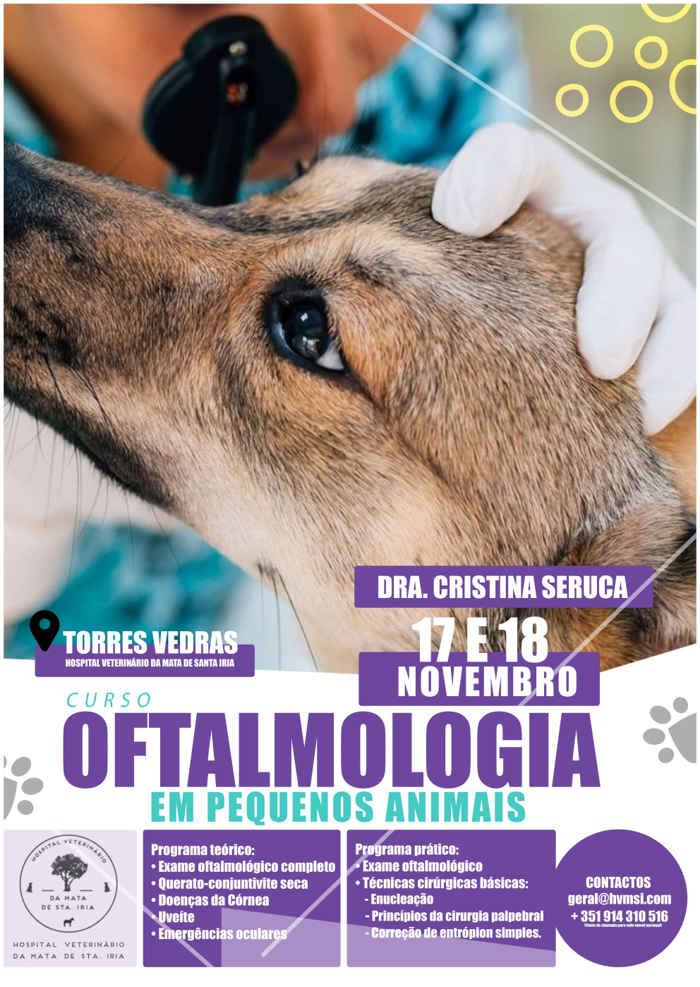 Curso de Oftalmologia HVMSI 