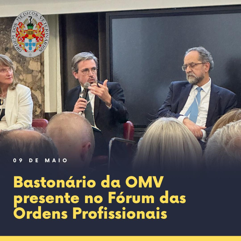 Bastonário da OMV presente no Fórum das Ordens Profissionais