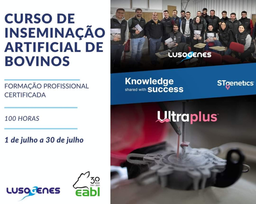 Curso de inseminação artificial de bovinos