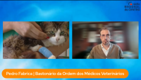 1.ª Conferência Gestão de Populações Animais - Intervenção do Bastonário no Programa da Manhã da Rádio Regional do Centro