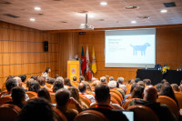 Oradores nacionais e internacionais partilham soluções e desafios na gestão dos animais de companhia