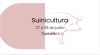 Projecto USAM SuLei - Workshops Médicos Veterinários de Suínos (27 e 28 de junho, EZN)
