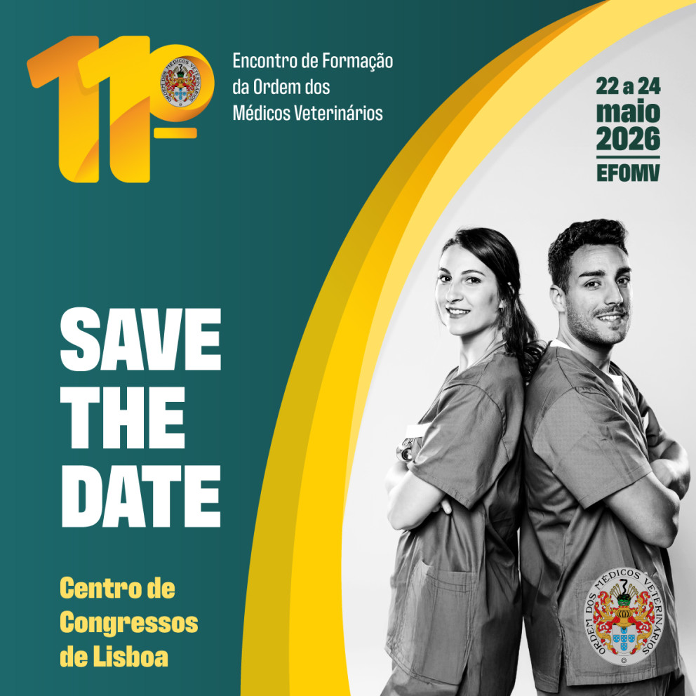 SAVE THE DATE: Faltam 365 dias para o 11º EFOMV