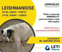 Formação Leishmaniose - APMVEAC: Porto