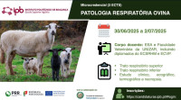 Formação de Patologia Respiratória Ovina no Instituto Politécnico de Bragança