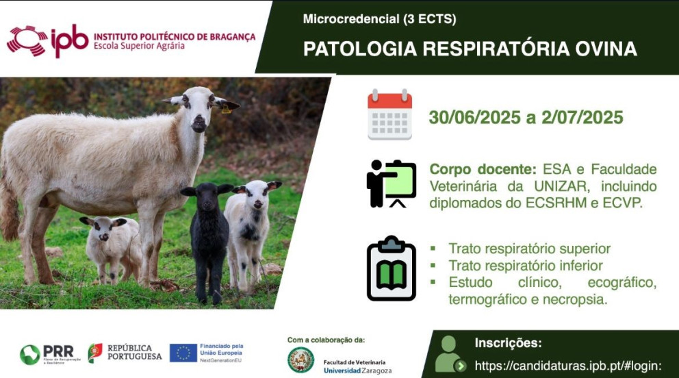 Formação de Patologia Respiratória Ovina no Instituto Politécnico de Bragança