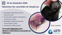 Webinar - Diagnosticar bem para tratar melhor em otologia - APMVEAC