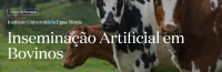 Inseminação Artificial em Bovinos