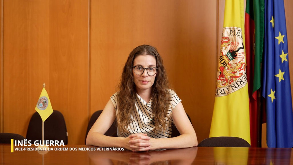 Resumo de atividades da Ordem dos Médicos Veterinários – setembro de 2025