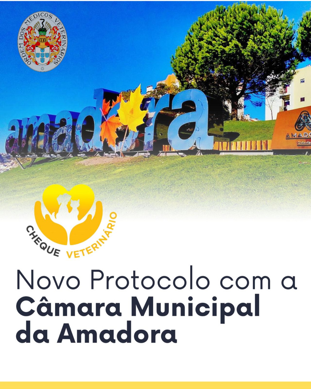Cheque Veterinário: Novo Protocolo com a Câmara Municipal da Amadora