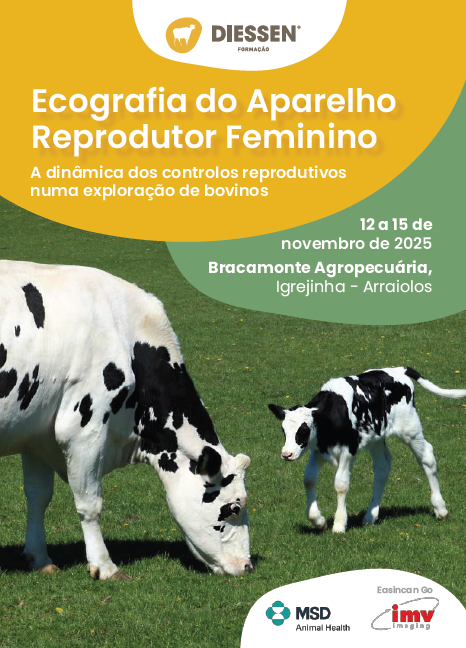 5ª Edição do Curso de Reprodução e Ecografia em Bovinos - Diessen Formação