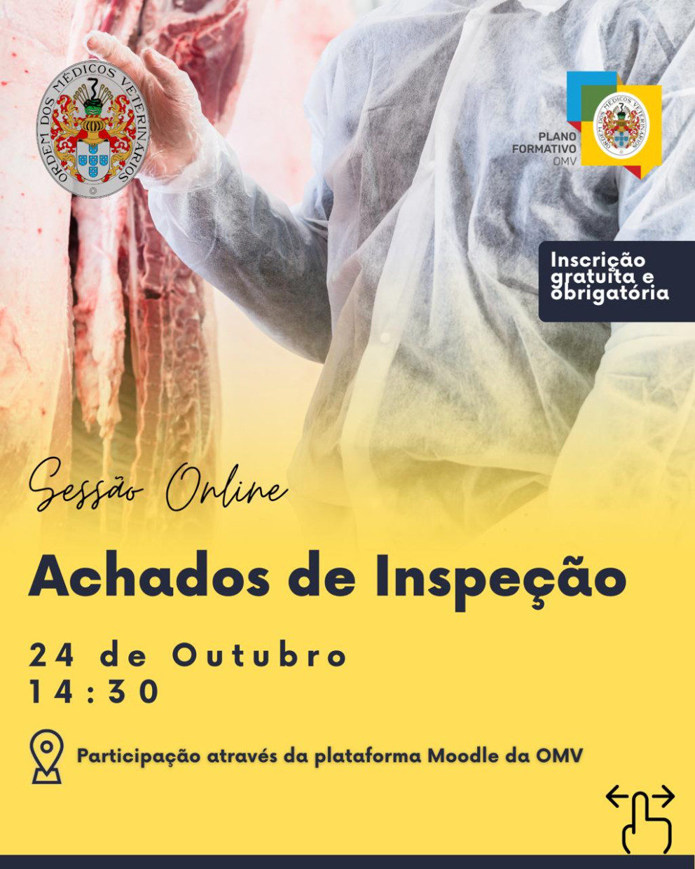 Webinar 