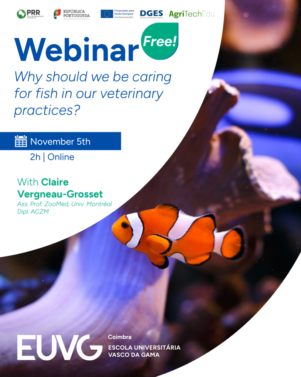 Webinar “Why should we be caring for fish in our veterinary practices?”