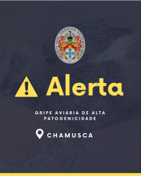 Informação DGAV: Deteção de foco de infeção por vírus da gripe aviária de alta patogenicidade - Aves em cativeiro - Chamusca - Foco 2025/31