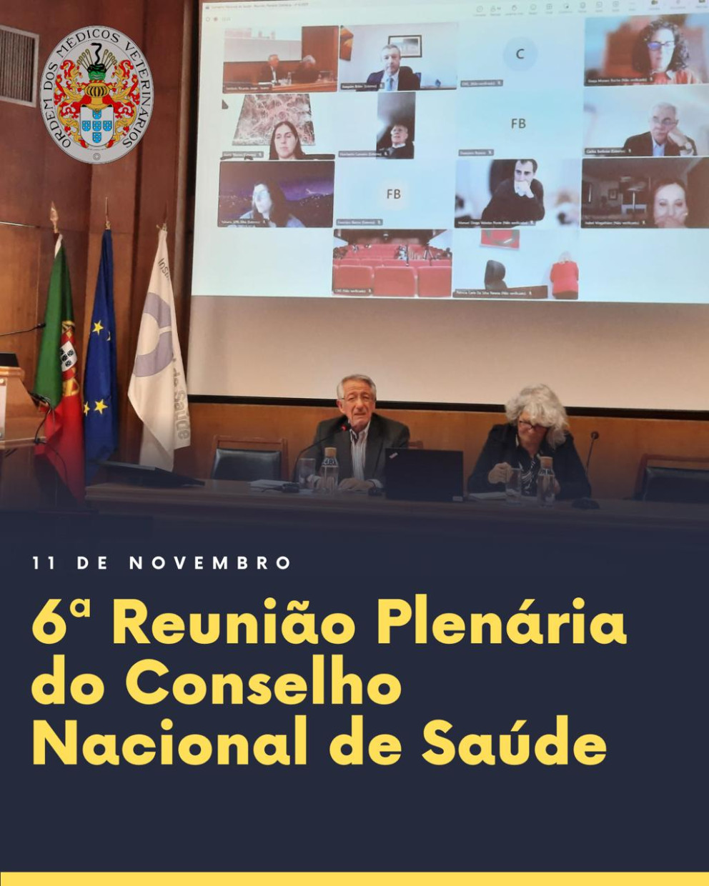 6.ª Reunião Plenária do Conselho Nacional de Saúde