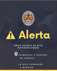 Informação DGAV: Deteção de focos de infeção por vírus da gripe aviária do subtipo H5N1 - Foco 2025/41
