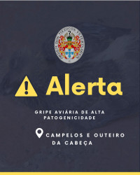 Informação DGAV: Deteção de focos de infeção por vírus da gripe aviária do subtipo H5N1 - Foco 2025/46